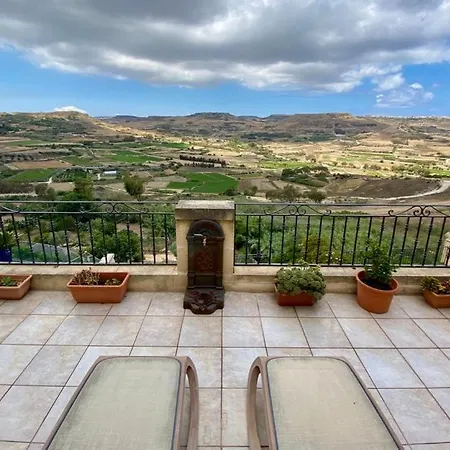 The View *
